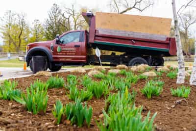 Schedule Your Mulching Service