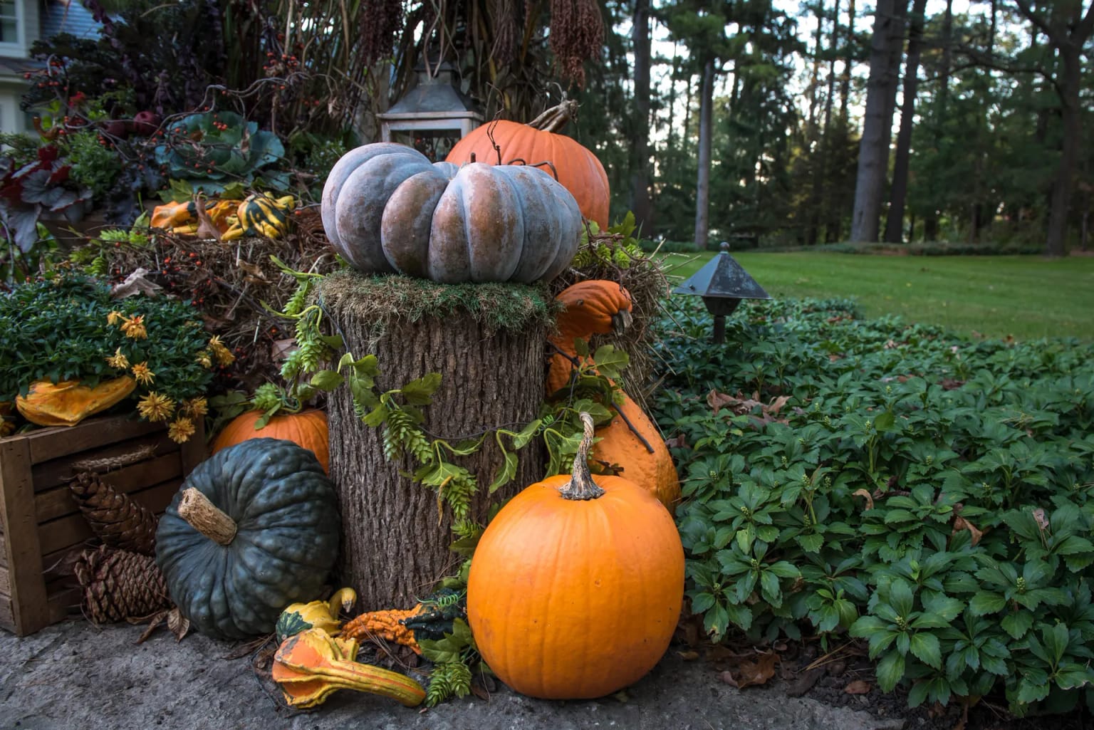 Fall Color Secrets Every Wisconsin Gardener Should Know