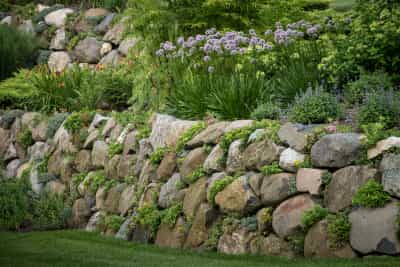 Engineering & Design