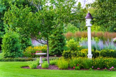 Enhancement Services